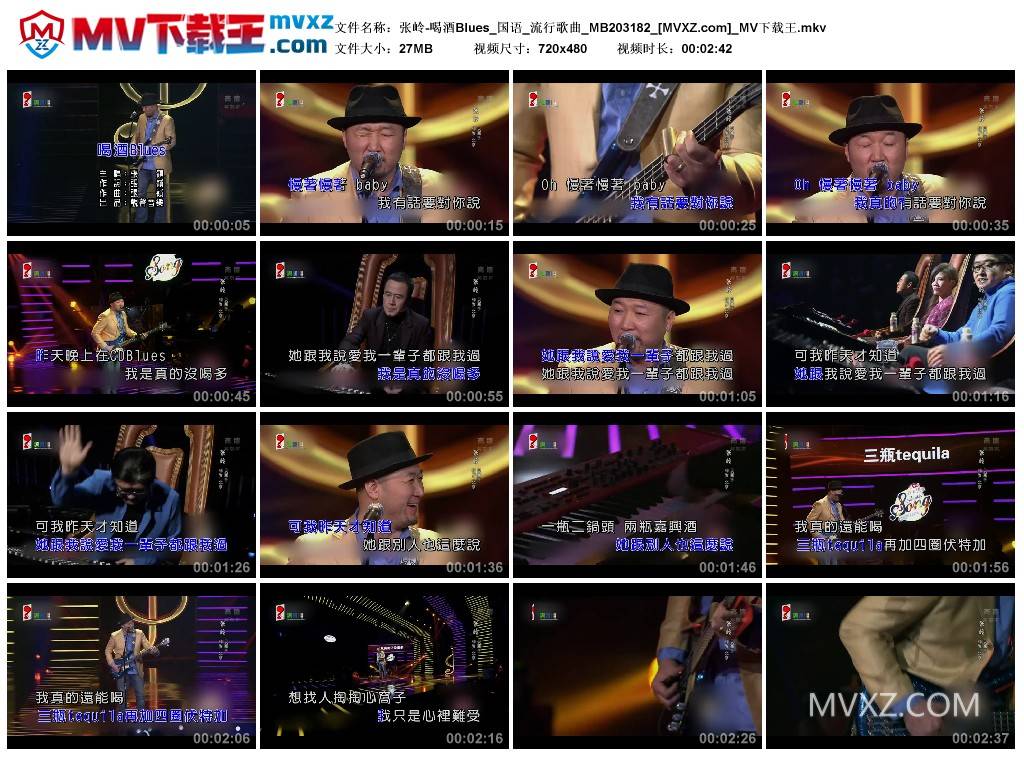 张岭-喝酒Blues_国语_流行歌曲_MB203182